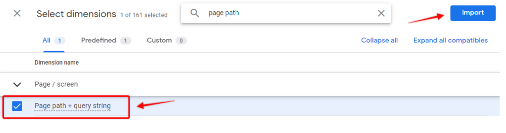 Select page path + query string dimension